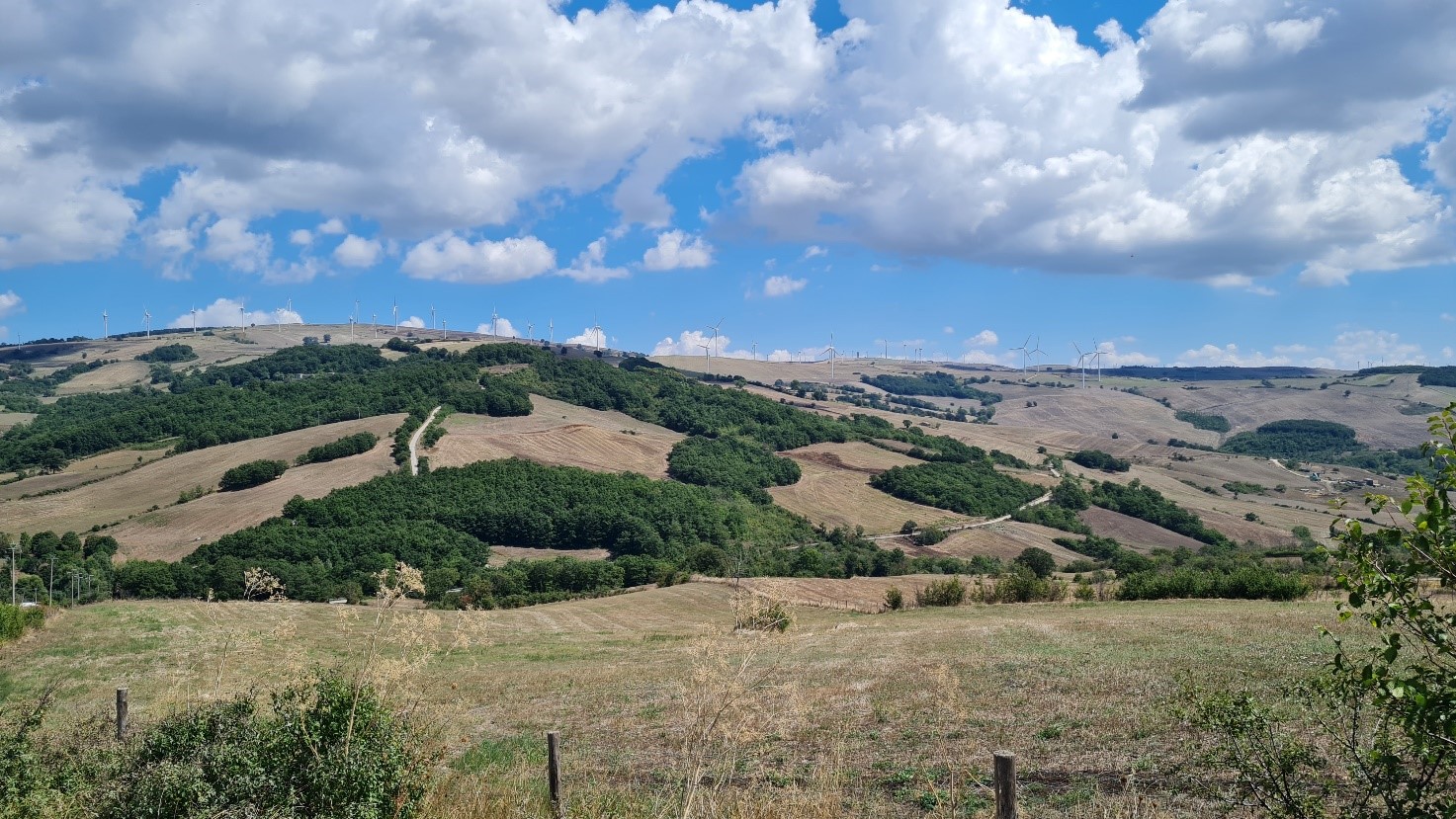 Redazione Dei Piani Di Gestione Dei Siti Della Rete Natura Nel